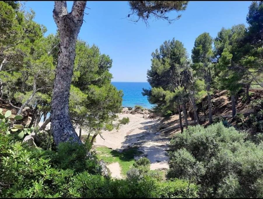 Villa Climatisee Bord De Mer Avec Piscine Privee Miami Playa Exteriér fotografie